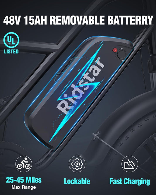 Ridestar FM00 - 2-Seater Fat Tire Electric Bike