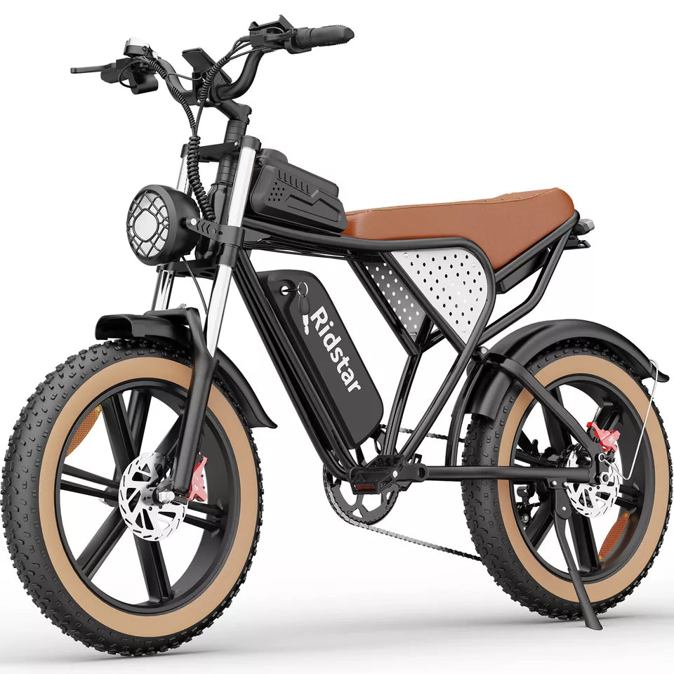 Ridstar Q20 1500W 48V 20Ah Battery 20''Fat Tire Mountain Electric Bike for Adult