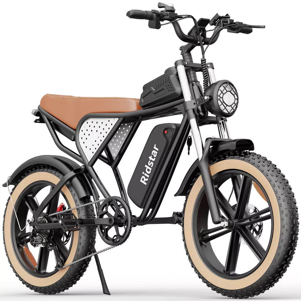 Ridestar Q20 - 1500W 48V 20Ah Battery 20''Fat Tire Mountain Electric Bike for Adult