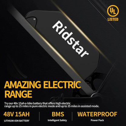 Ridestar Q20 -  1000W Fat Tire Ebike