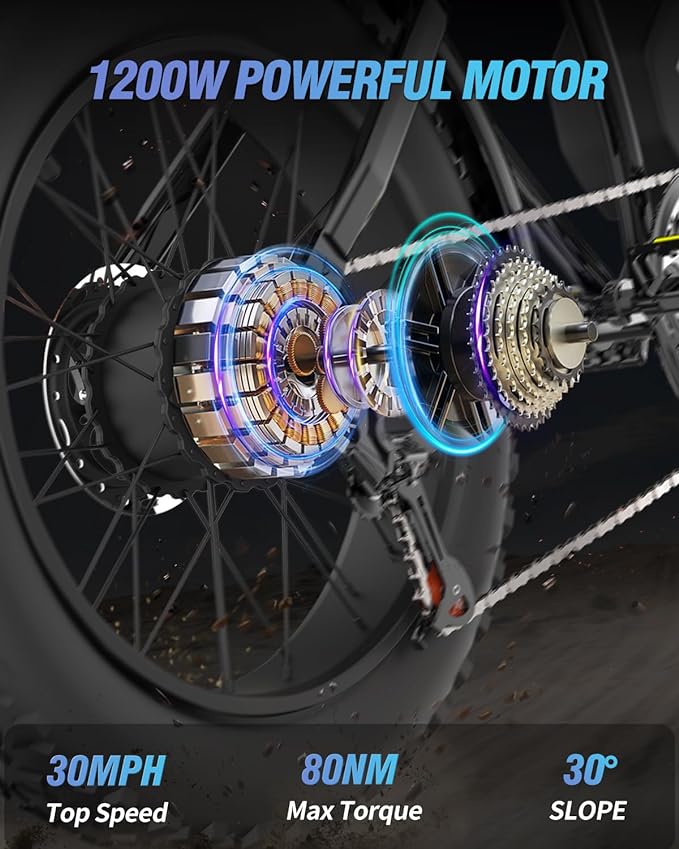 Ridestar Q20Pro 2000W - Fat Tire Electric Bike