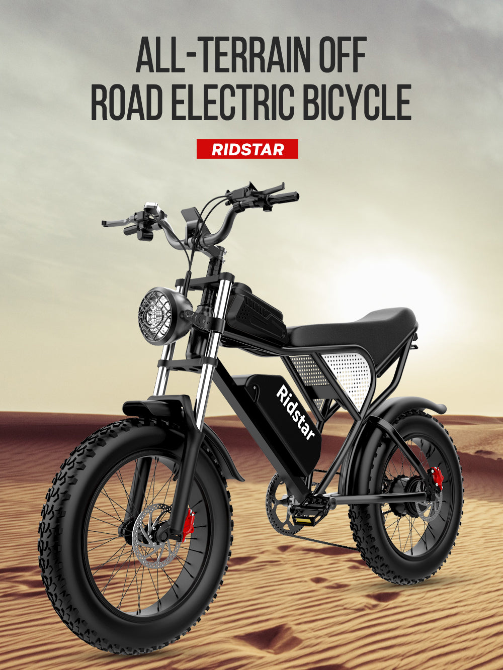 Ridestar Q20Pro 2000W - Fat Tire Electric Bike