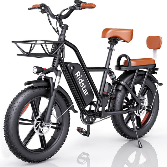 Ridstar FM001 2-Seater Fat Tire Electric Bike