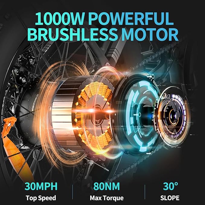 Ridestar Q20 -  1000W Fat Tire Ebike