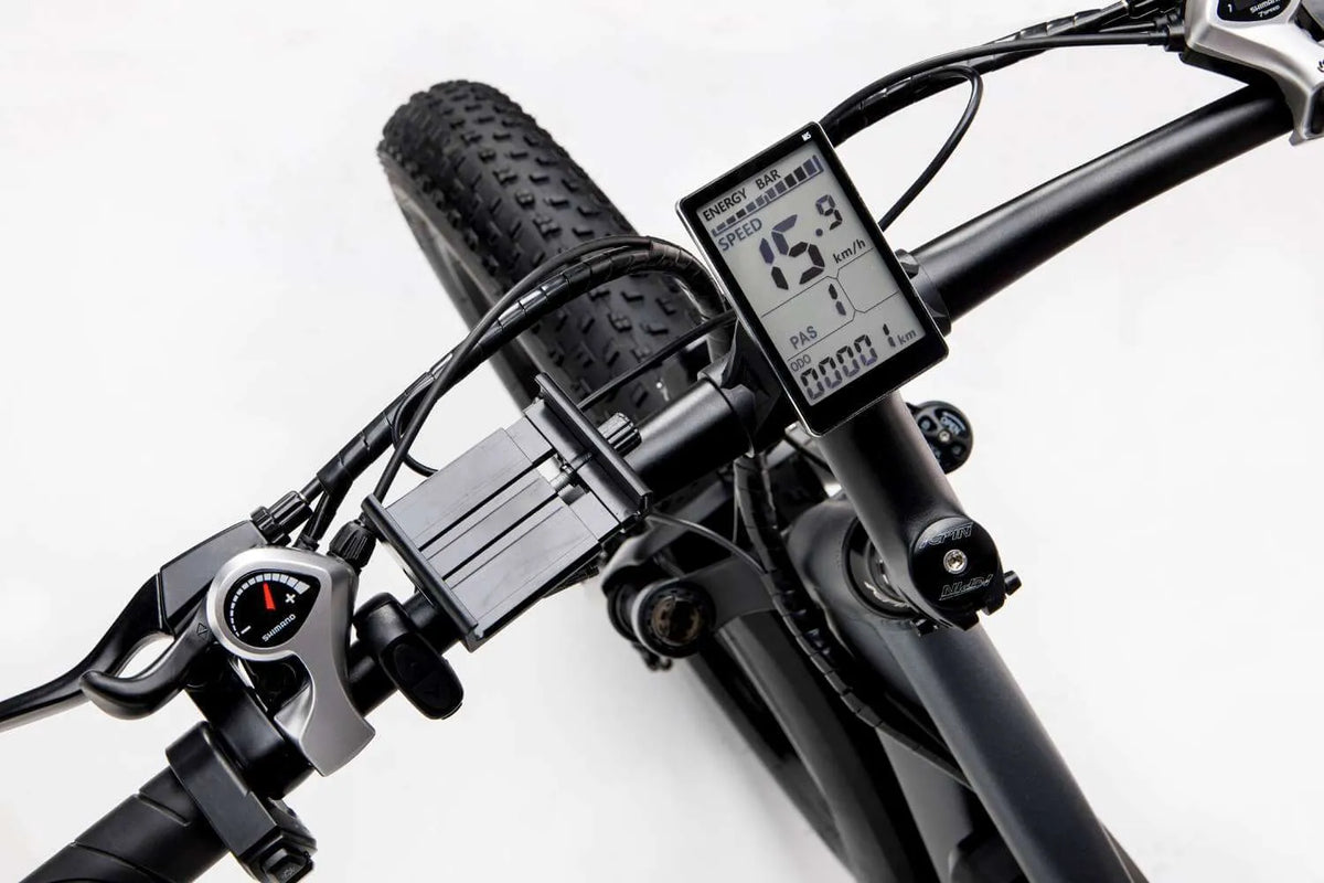 Ridestar E Bike E26  - 1000W Motor 48V 15.6AH Battery
