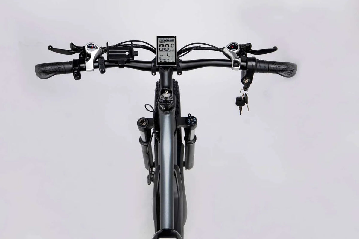 Ridestar E Bike E26  - 1000W Motor 48V 15.6AH Battery